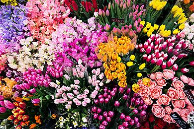 模拟农场经营游戏《丰登之日》即将发售，准备在5月12日创造你自己的个人天堂吧